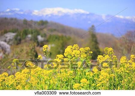 Stock Photo - Fukushima Prefecture, Japan. Fotosearch