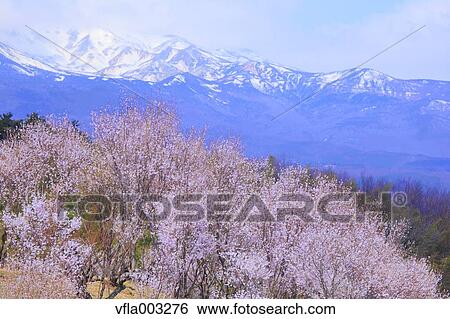 Fukushima Prefecture, Japan View Large Photo Image Stock Photograph - Fukushima Prefecture, Japan. Fotosearch