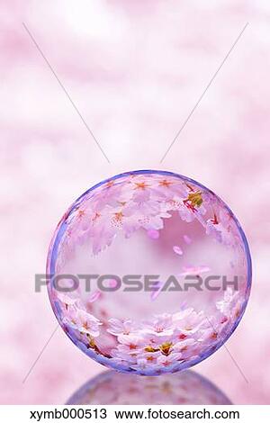 Stock Image - Glass globe and cherry blossoms. Fotosearch