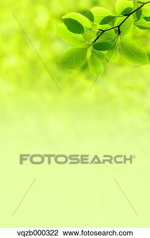 Green leaves View Large Photo Image Stock Image - Green leaves. Fotosearch