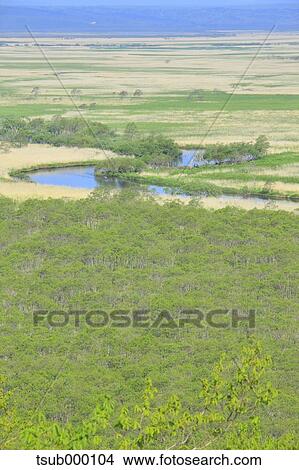 Picture - Hokkaido, Japan. Fotosearch