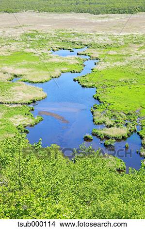 Picture - Hokkaido, Japan. Fotosearch