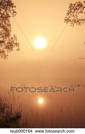 Picture - Hokkaido, Japan. Fotosearch