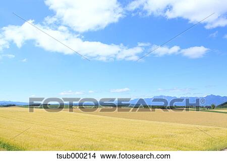 Hokkaido, Japan View Large Photo Image Picture - Hokkaido, Japan. Fotosearch