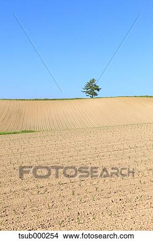 Hokkaido, Japan View Large Photo Image Picture - Hokkaido, Japan. Fotosearch