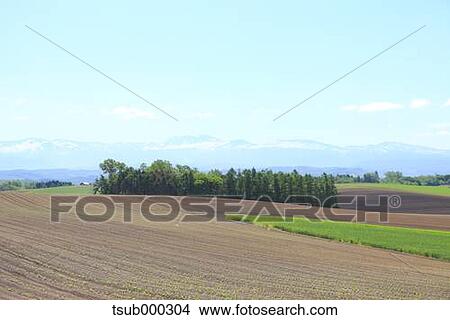 Picture - Hokkaido, Japan. Fotosearch