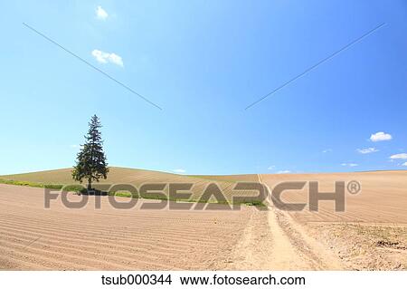 Picture - Hokkaido, Japan. Fotosearch