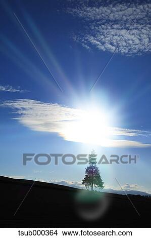 Picture - Hokkaido, Japan. Fotosearch