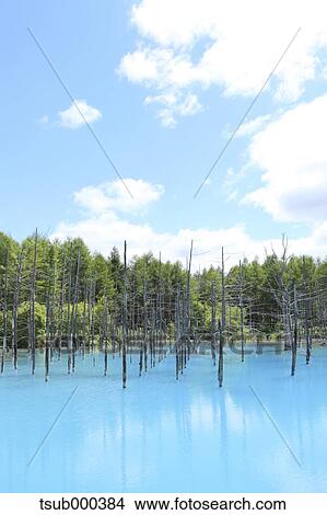 Picture - Hokkaido, Japan. Fotosearch
