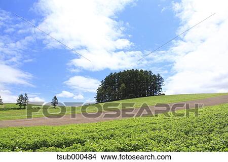 Picture - Hokkaido, Japan. Fotosearch