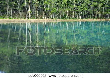 Stock Image - Hokkaido, Japan. Fotosearch