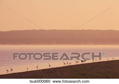 Stock Image - Hokkaido, Japan. Fotosearch