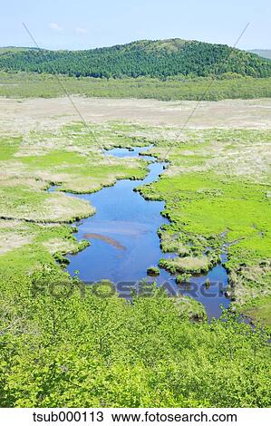 Hokkaido, Japan View Large Photo Image Stock Image - Hokkaido, Japan. Fotosearch