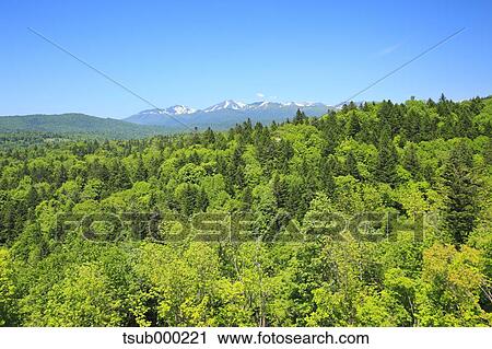 Stock Image - Hokkaido, Japan. Fotosearch