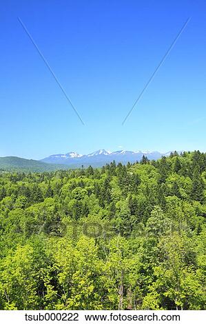 Hokkaido, Japan View Large Photo Image Stock Image - Hokkaido, Japan. Fotosearch
