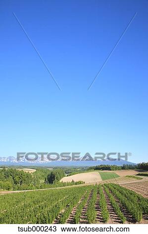Hokkaido, Japan View Large Photo Image Stock Image - Hokkaido, Japan. Fotosearch