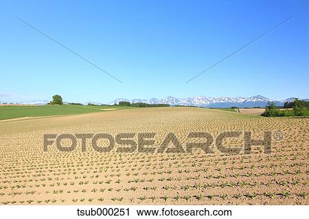 Stock Image - Hokkaido, Japan. Fotosearch