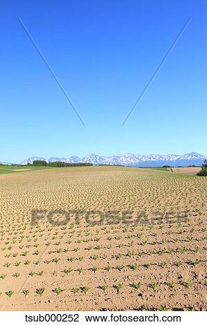 Hokkaido, Japan View Large Photo Image Stock Image - Hokkaido, Japan. Fotosearch