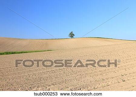 Stock Image - Hokkaido, Japan. Fotosearch