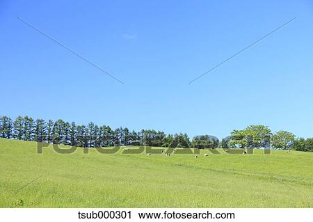 Hokkaido, Japan View Large Photo Image Stock Image - Hokkaido, Japan. Fotosearch