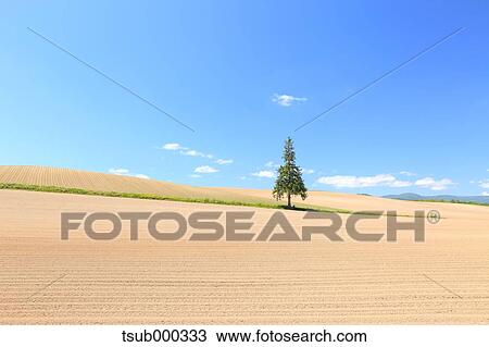 Hokkaido, Japan View Large Photo Image Stock Image - Hokkaido, Japan. Fotosearch
