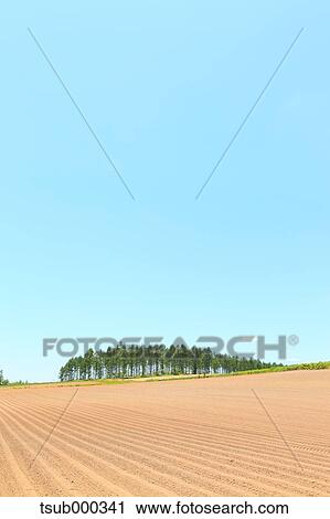 Stock Image - Hokkaido, Japan. Fotosearch