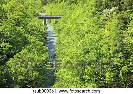 Stock Image - Hokkaido, Japan. Fotosearch