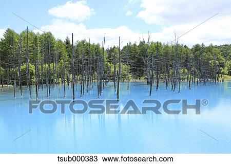 Hokkaido, Japan View Large Photo Image Stock Image - Hokkaido, Japan. Fotosearch