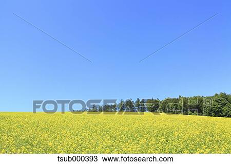 Hokkaido, Japan View Large Photo Image Stock Image - Hokkaido, Japan. Fotosearch