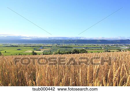 Hokkaido, Japan View Large Photo Image Stock Image - Hokkaido, Japan. Fotosearch