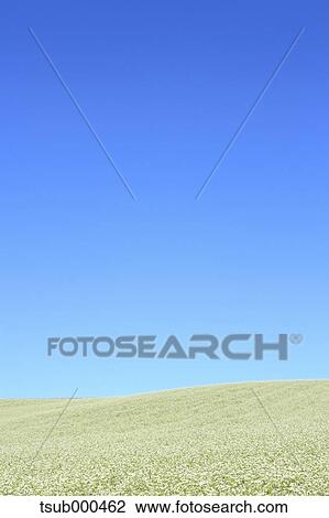 Stock Image - Hokkaido, Japan. Fotosearch
