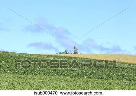 Hokkaido, Japan View Large Photo Image Stock Image - Hokkaido, Japan. Fotosearch