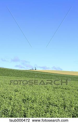 Hokkaido, Japan View Large Photo Image Stock Image - Hokkaido, Japan. Fotosearch