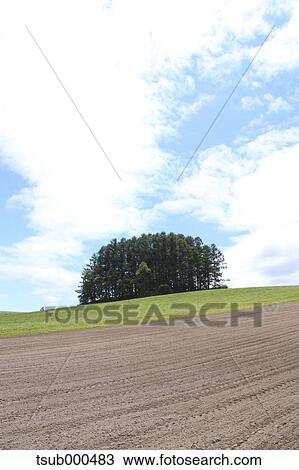 Hokkaido, Japan View Large Photo Image Stock Image - Hokkaido, Japan. Fotosearch