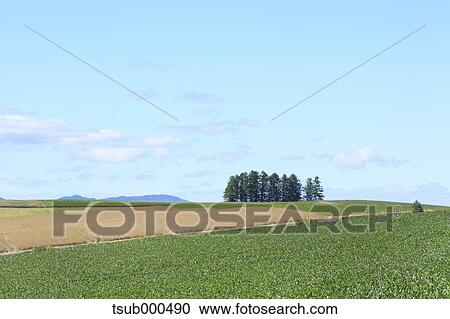 Stock Image - Hokkaido, Japan. Fotosearch