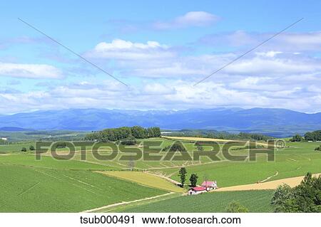Hokkaido, Japan View Large Photo Image Stock Image - Hokkaido, Japan. Fotosearch