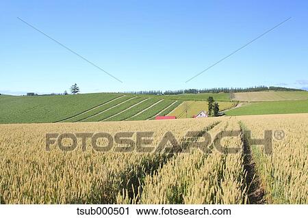 Stock Image - Hokkaido, Japan. Fotosearch
