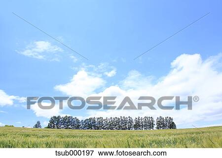 Hokkaido, Japan View Large Photo Image Stock Photo - Hokkaido, Japan. Fotosearch