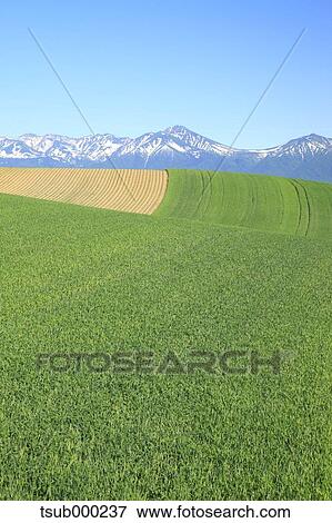 Hokkaido, Japan View Large Photo Image Stock Photo - Hokkaido, Japan. Fotosearch