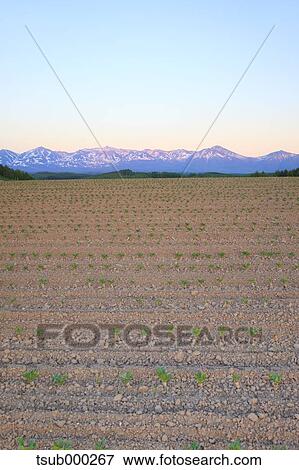 Hokkaido, Japan View Large Photo Image Stock Photo - Hokkaido, Japan. Fotosearch