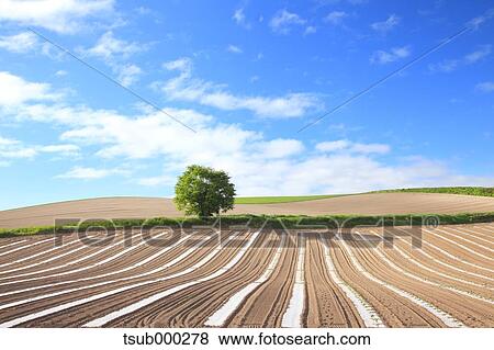 Hokkaido, Japan View Large Photo Image Stock Photo - Hokkaido, Japan. Fotosearch