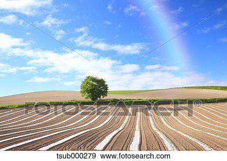 Stock Photo - Hokkaido, Japan. Fotosearch