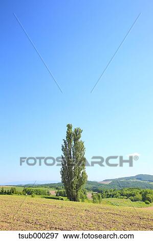 Stock Photo - Hokkaido, Japan. Fotosearch