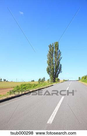 Stock Photo - Hokkaido, Japan. Fotosearch