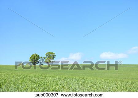 Hokkaido, Japan View Large Photo Image Stock Photo - Hokkaido, Japan. Fotosearch