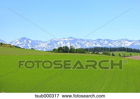 Hokkaido, Japan View Large Photo Image Stock Photo - Hokkaido, Japan. Fotosearch