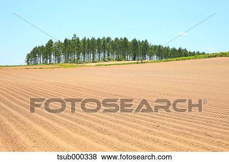 Stock Photo - Hokkaido, Japan. Fotosearch