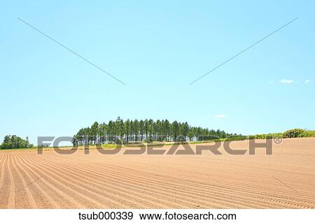 Stock Photo - Hokkaido, Japan. Fotosearch
