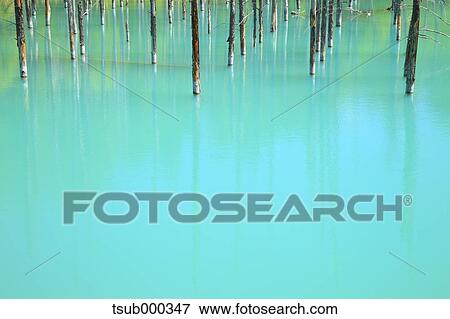 Hokkaido, Japan View Large Photo Image Stock Photo - Hokkaido, Japan. Fotosearch