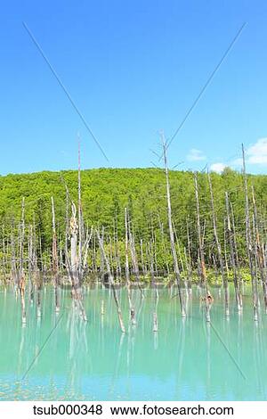 Hokkaido, Japan View Large Photo Image Stock Photo - Hokkaido, Japan. Fotosearch